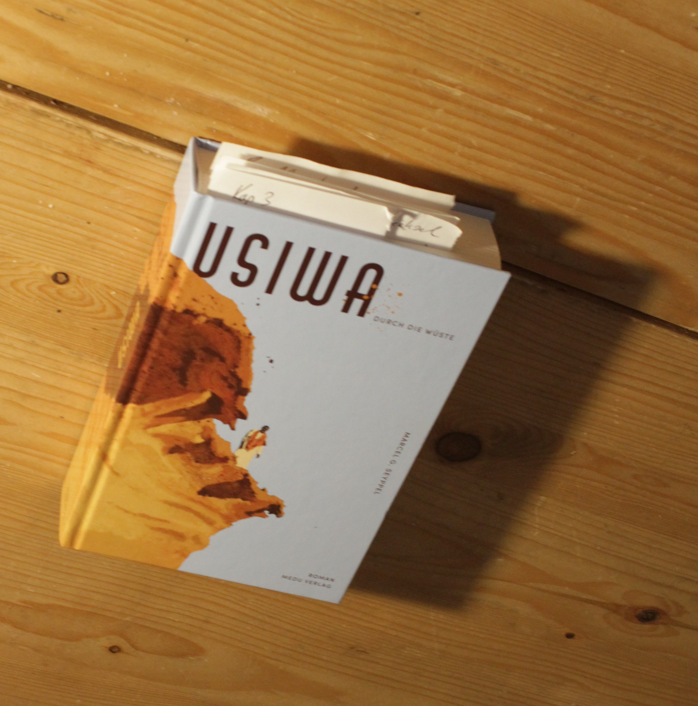 Der Roman USIWA